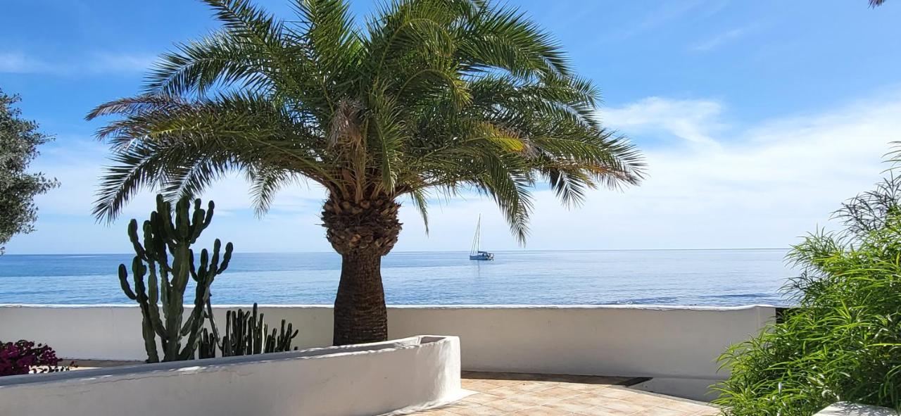 Loro Verde Playa Honda  Ngoại thất bức ảnh